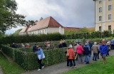 Artikelbild 1